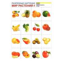 Набор разрезанных карточек "Мир растений-1"